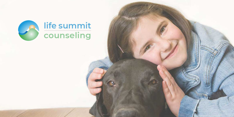 Life Summit Counseling Social